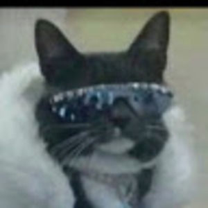 Meet your Posher, Teagan